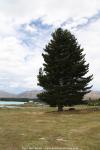 Lake Tekapo, Neuseeland - Südinsel