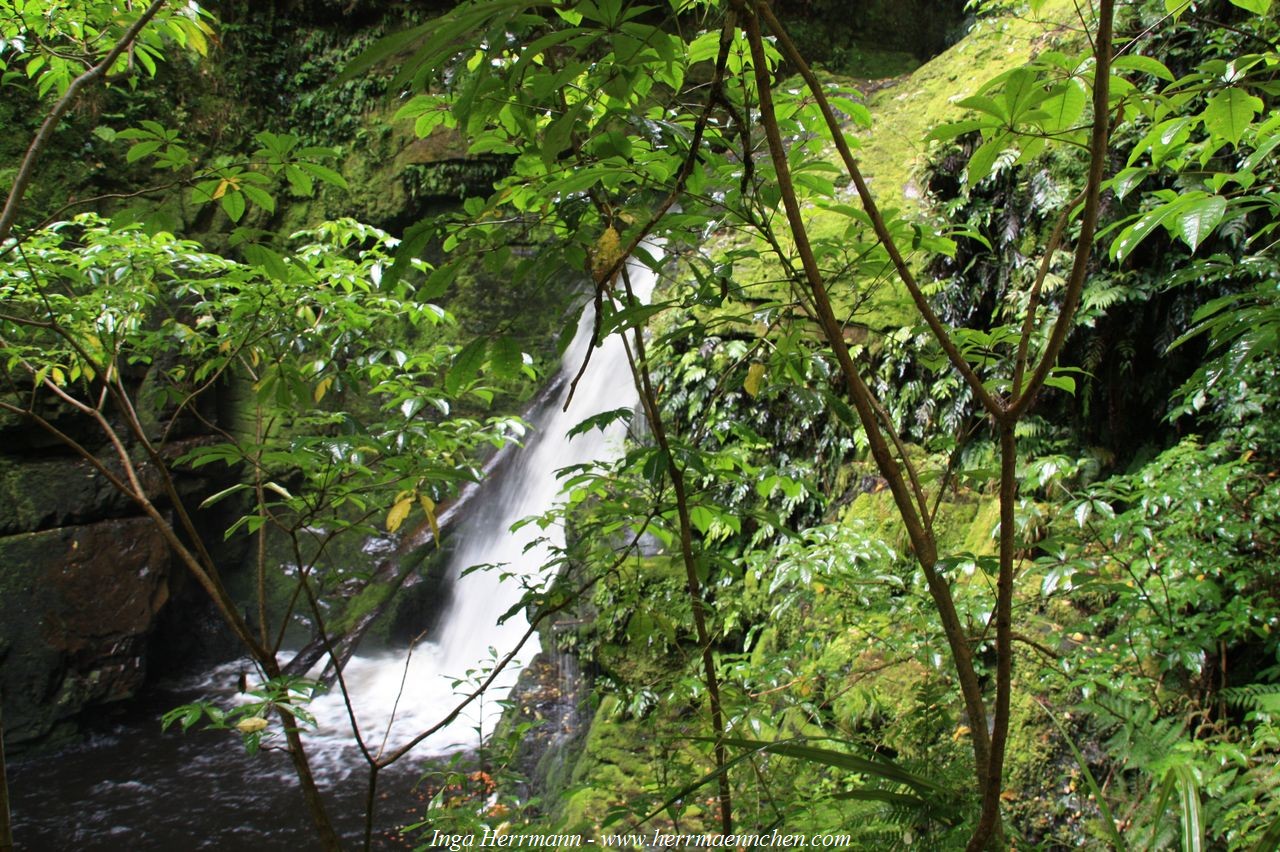 MacLean Falls, Neuseeland - Südinsel