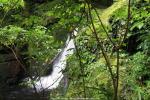 MacLean Falls, Neuseeland - Südinsel