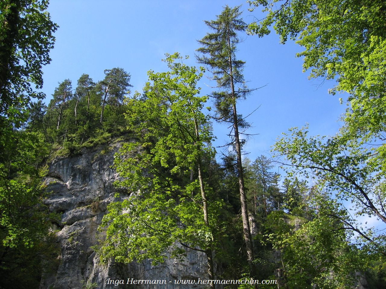 Almbachklamm