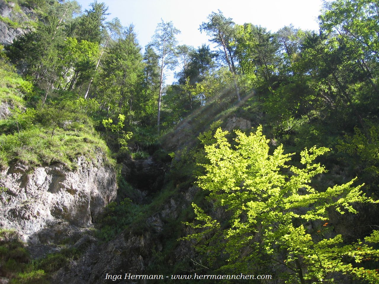 Almbachklamm