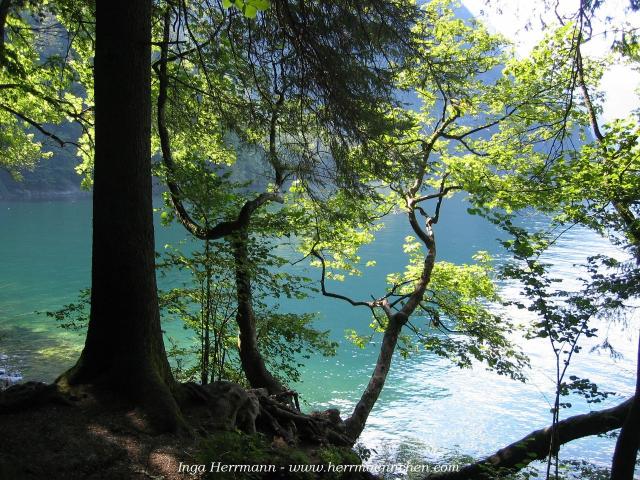 Königsee