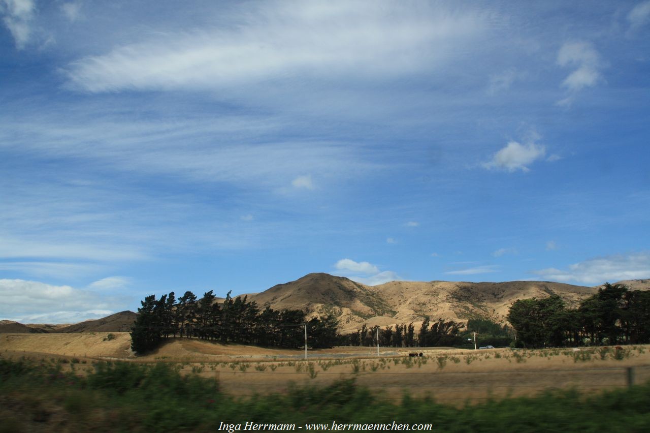 Fahrt nach Blenheim, Neuseeland - Südinsel