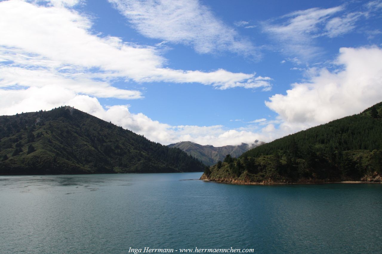 Marlborough Sounds, Neuseeland - Südinsel