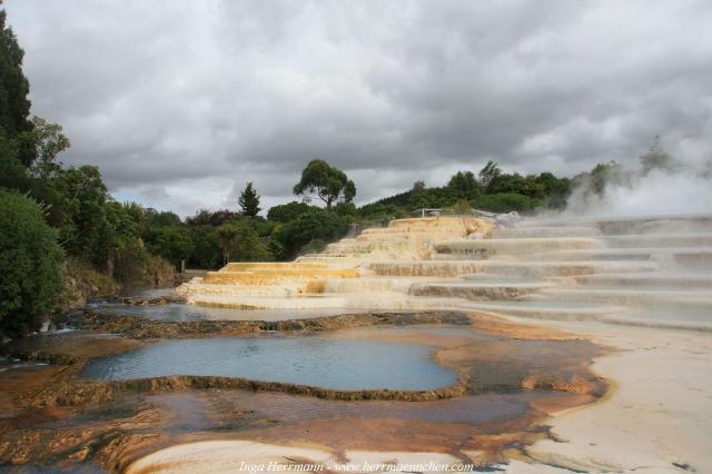 Wairakei Terraces, Neuseeland - Nordinsel