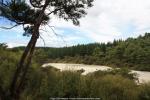 Wai-O-Tapu Thermal Wonderland, Neuseeland - Nordinsel