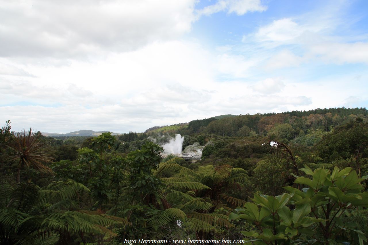 Te Puia, Neuseeland - Nordinsel