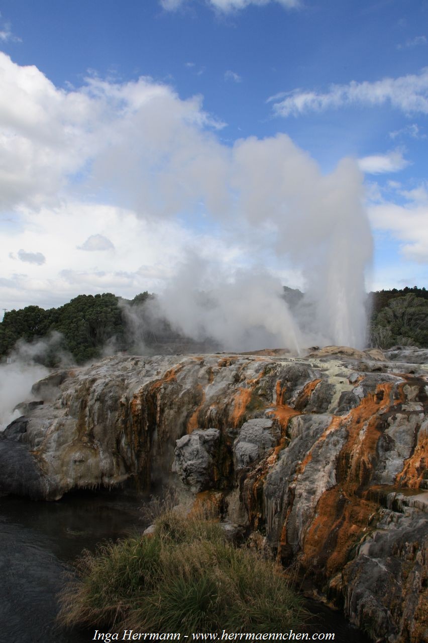 Te Puia, Neuseeland - Nordinsel