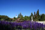 Rotorua, Neuseeland - Nordinsel