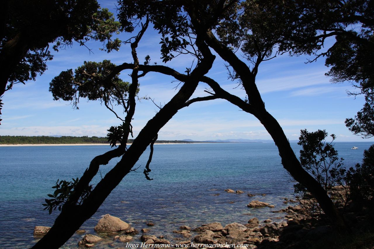 Mt. Maunganui - Rundgang um Vulkan Mauoa, Neuseeland - Nordinsel