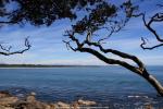 Mt. Maunganui - Rundgang um Vulkan Mauoa, Neuseeland - Nordinsel