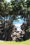 Mt. Maunganui - Rundgang um Vulkan Mauoa, Neuseeland - Nordinsel