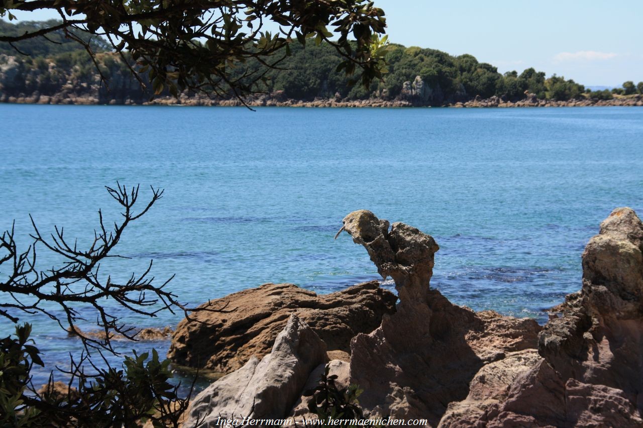 Mt. Maunganui - Rundgang um Vulkan Mauoa, Neuseeland - Nordinsel