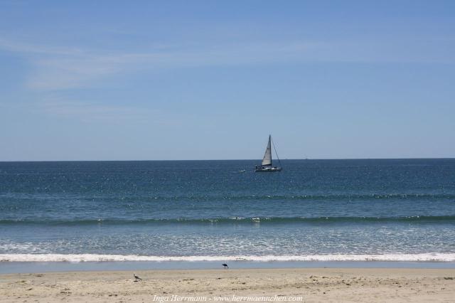 Mt. Maunganui - Rundgang um Vulkan Mauoa, Neuseeland - Nordinsel