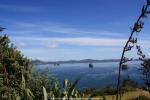 Wanderung zur Cathedral Cove, Neuseeland - Nordinsel