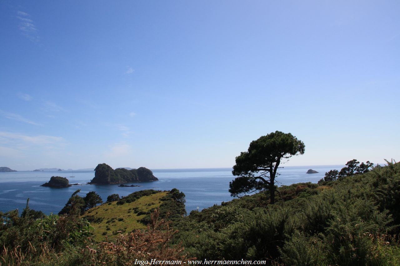 Auf dem Weg zur Cathedral Cove, Neuseeland - Nordinsel