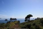 Auf dem Weg zur Cathedral Cove, Neuseeland - Nordinsel