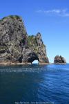 Bay of Islands, Neuseeland - Nordinsel