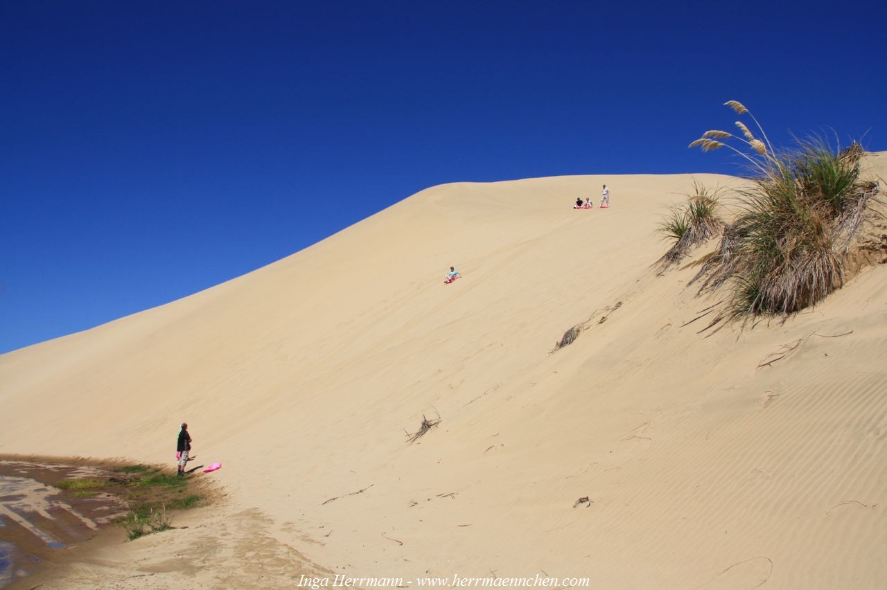 Te Paki Sanddünen, Neuseeland - Nordinsel