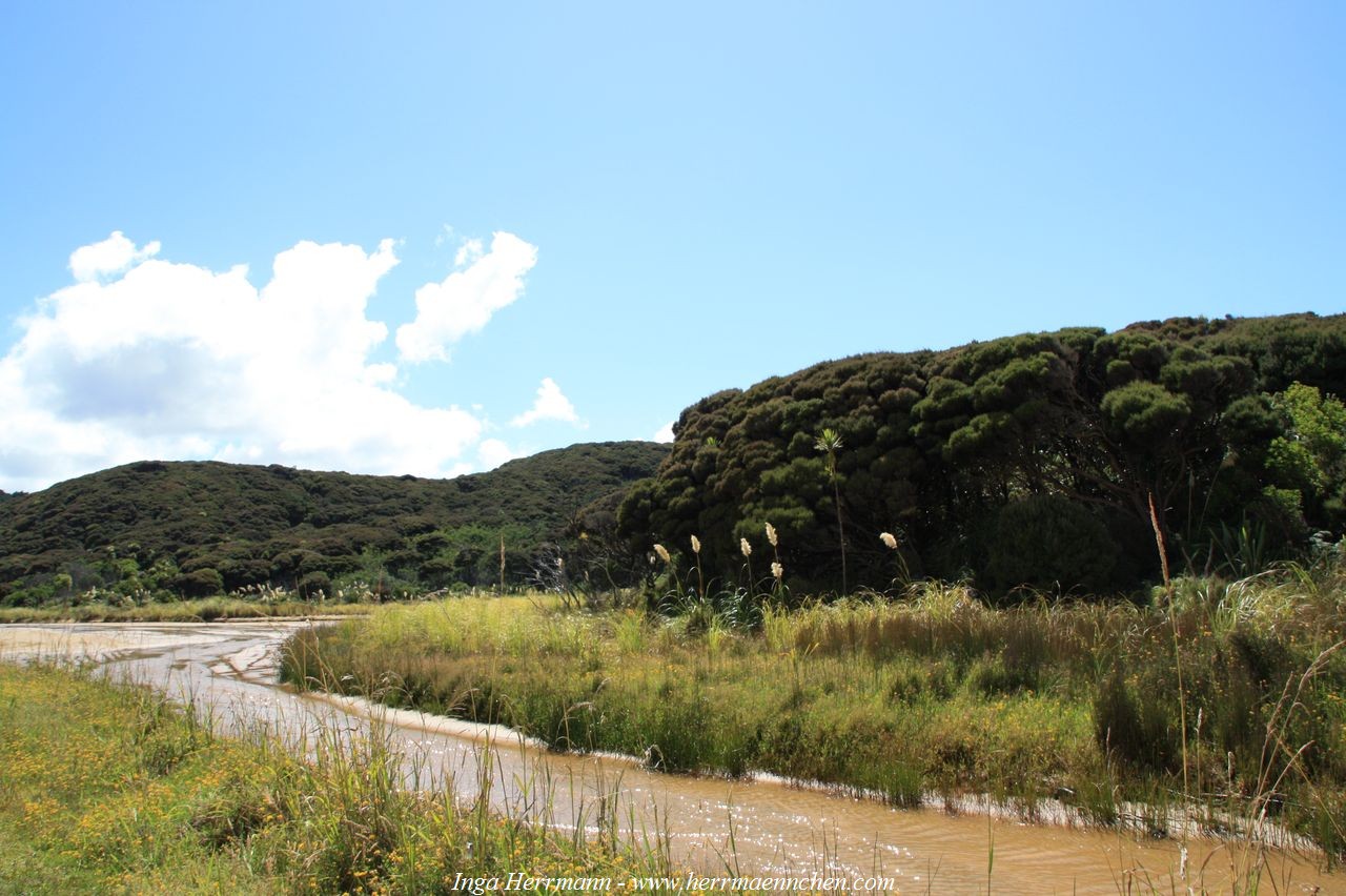 Te Paki Sanddünen, Neuseeland - Nordinsel