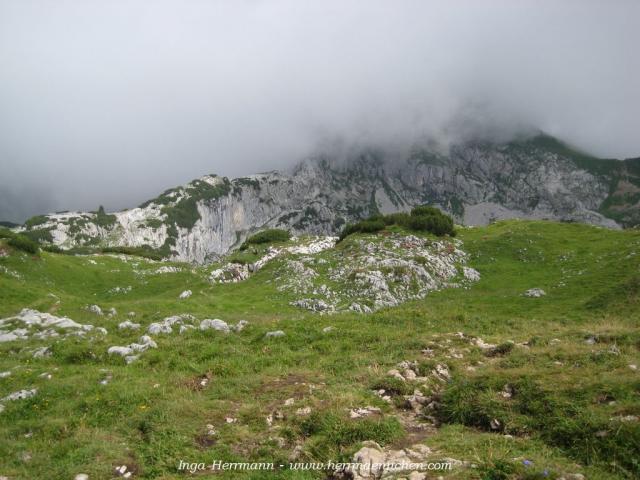 Auf dem Weg zum Gschöllkopf