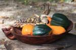 Wampanoag Homesite, Plimoth Plantation, Massachusetts, USA