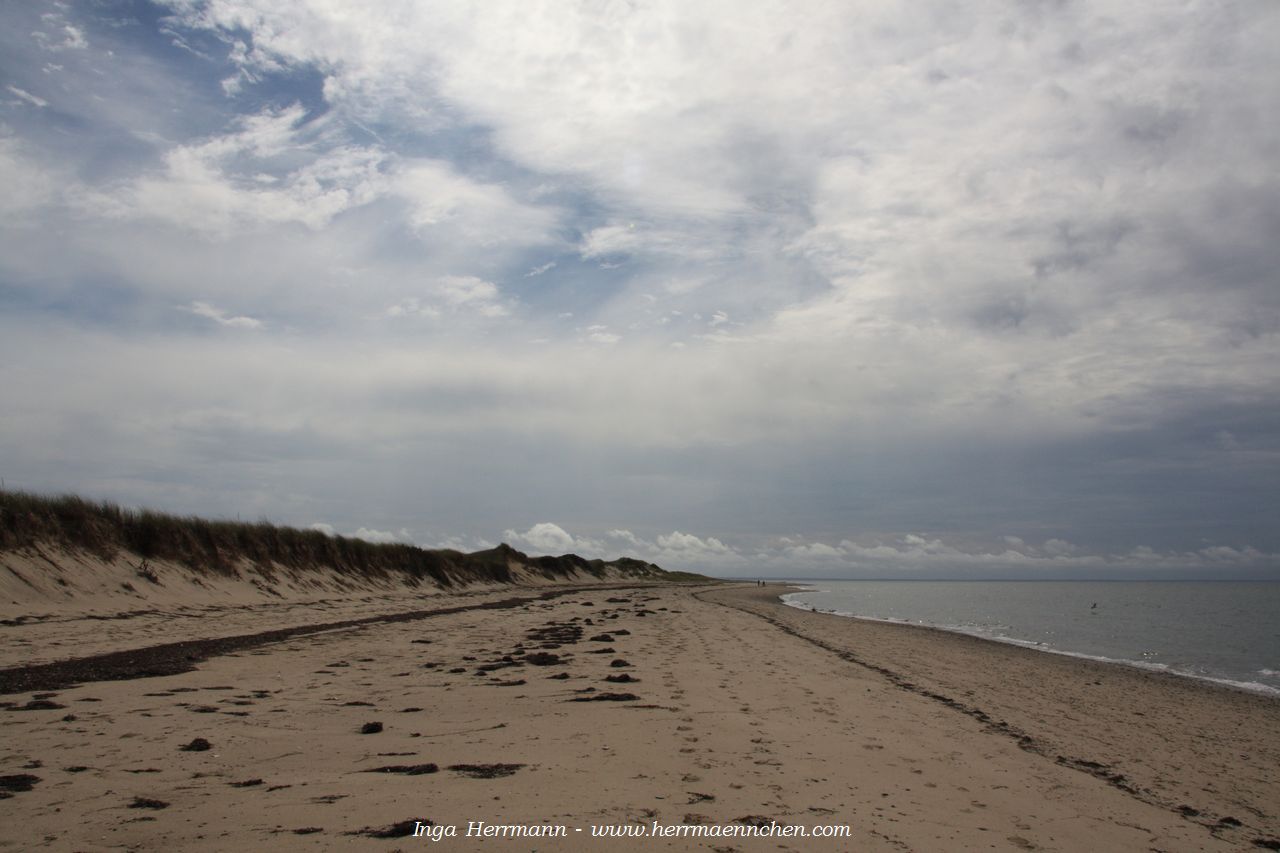 Great Island, Cape Cod National Seashore, Massachusetts, USA