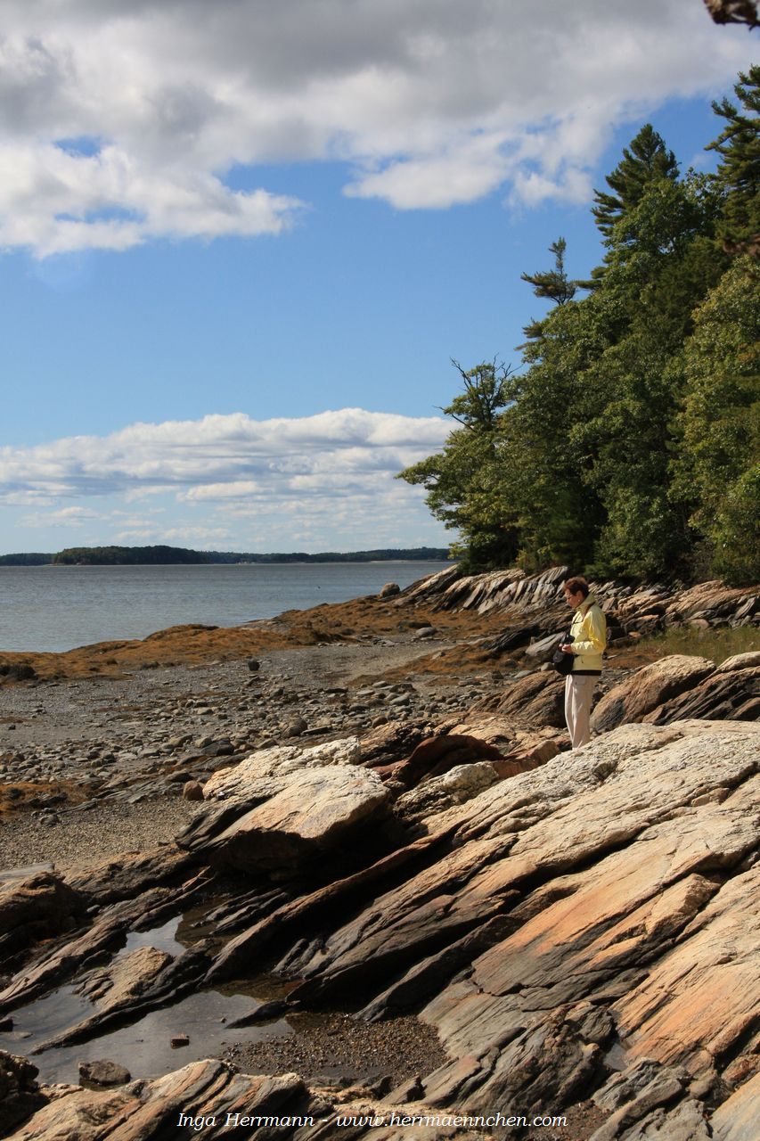 Casco Bay. Wolfe's Neck State Park, Maine, USA