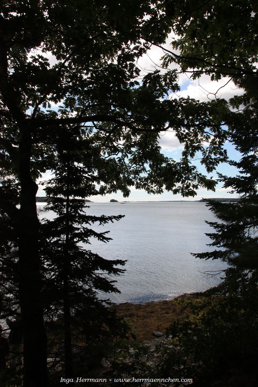 Casco Bay, Wolfe's Neck State Park, Maine, USA