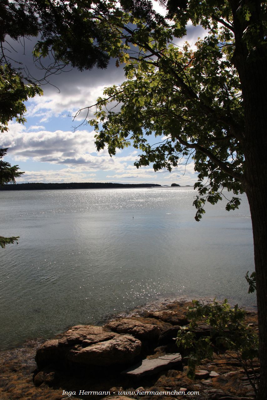 Casco Bay, Wolfe's Neck State Park, Maine, USA