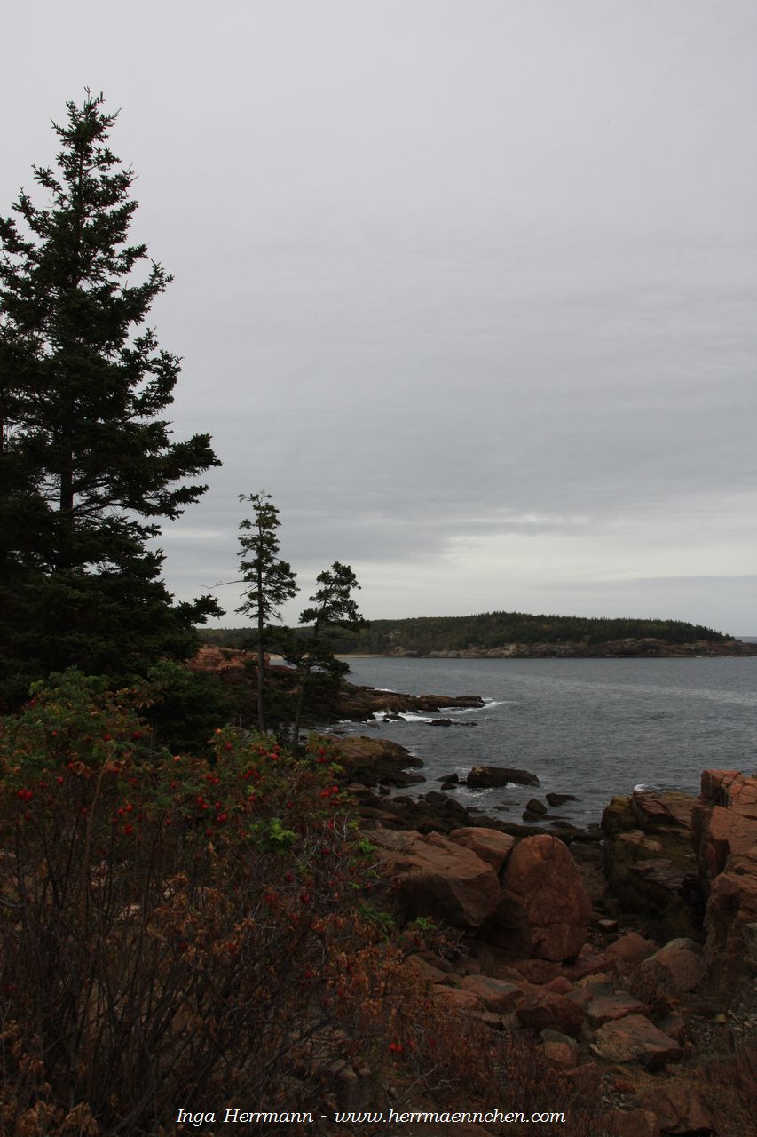 Thunder Hole Area im Acadia National Park, Maine, USA