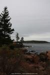 Thunder Hole Area im Acadia National Park, Maine, USA