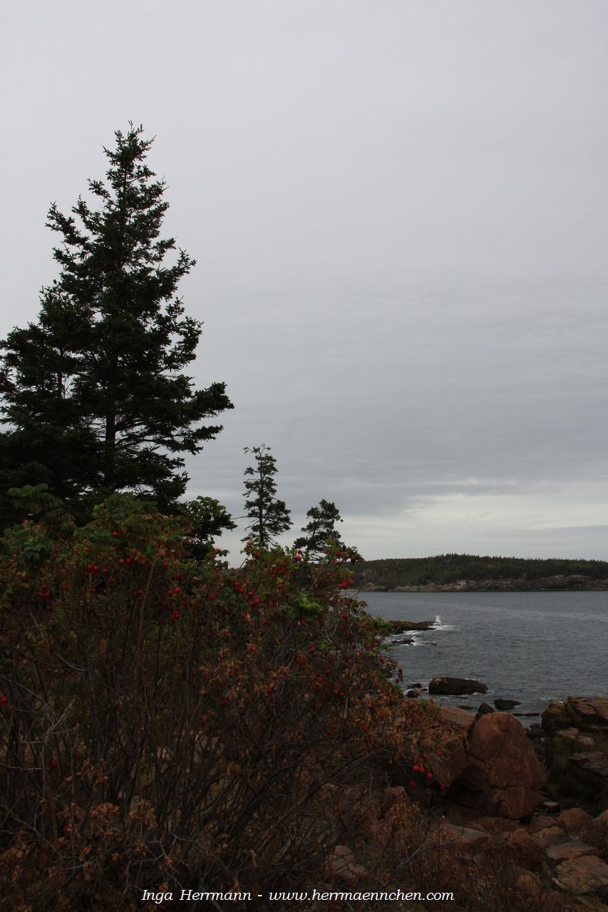 Thunder Hole Area im Acadia National Park, Maine, USA