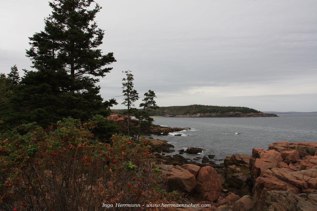 Thunder Hole Area im Acadia National Park, Maine, USA