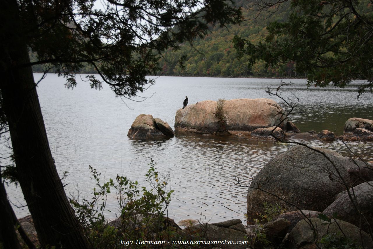 Jordan Pond im Acadia National Park, Maine, USA