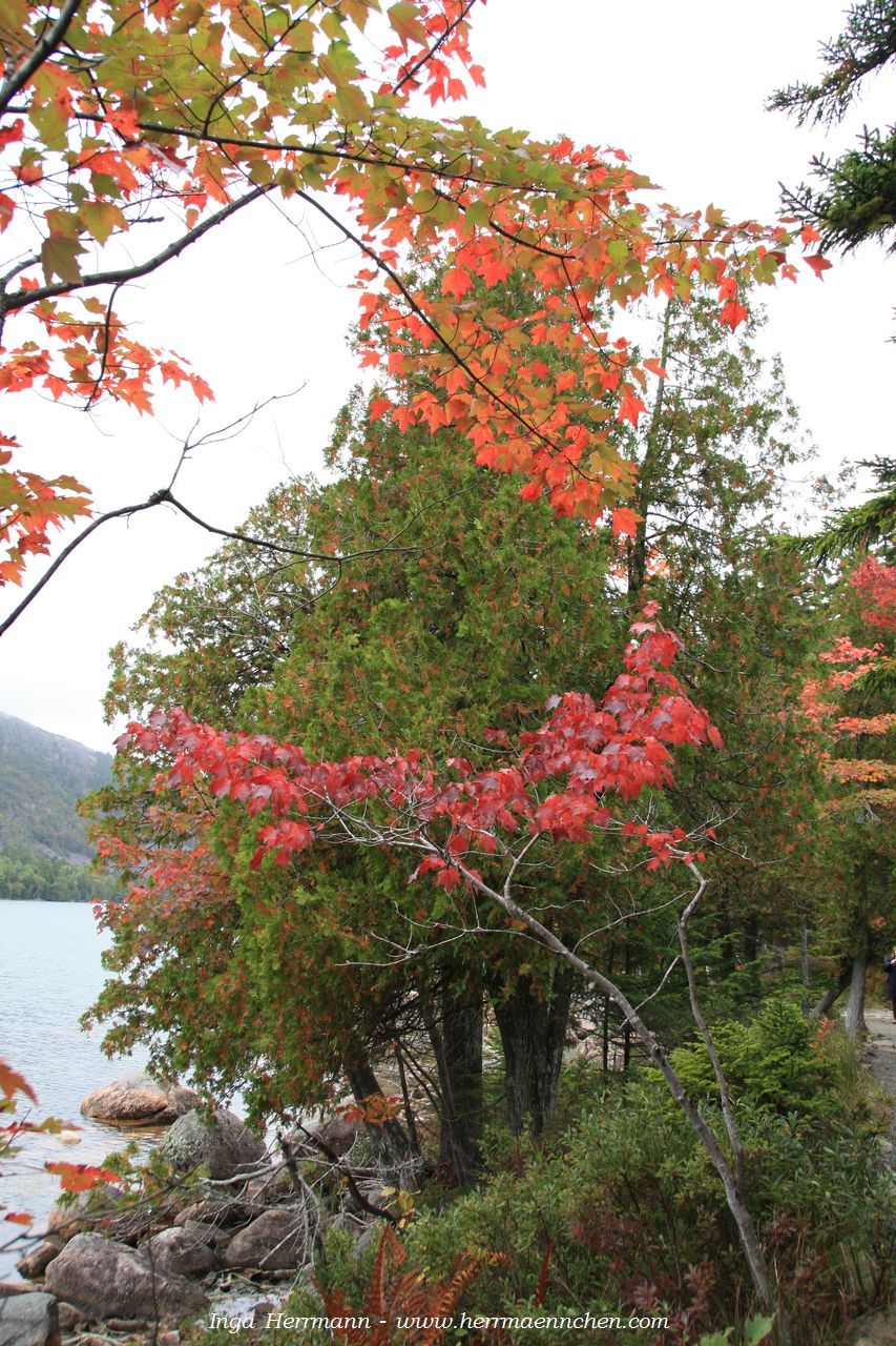 Jordan Pond im Acadia National Park, Maine, USA