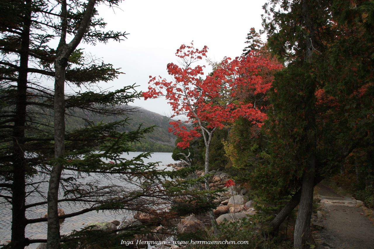 Jordan Pond im Acadia National Park, Maine, USA