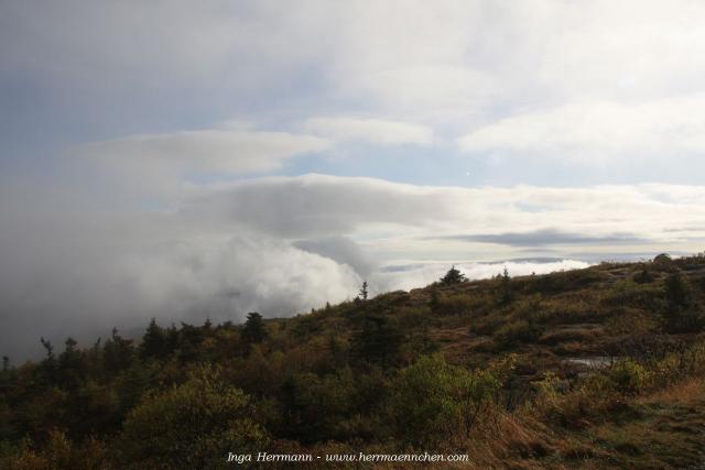 Mount Cadillac im Acadia National Park, Maine, USA