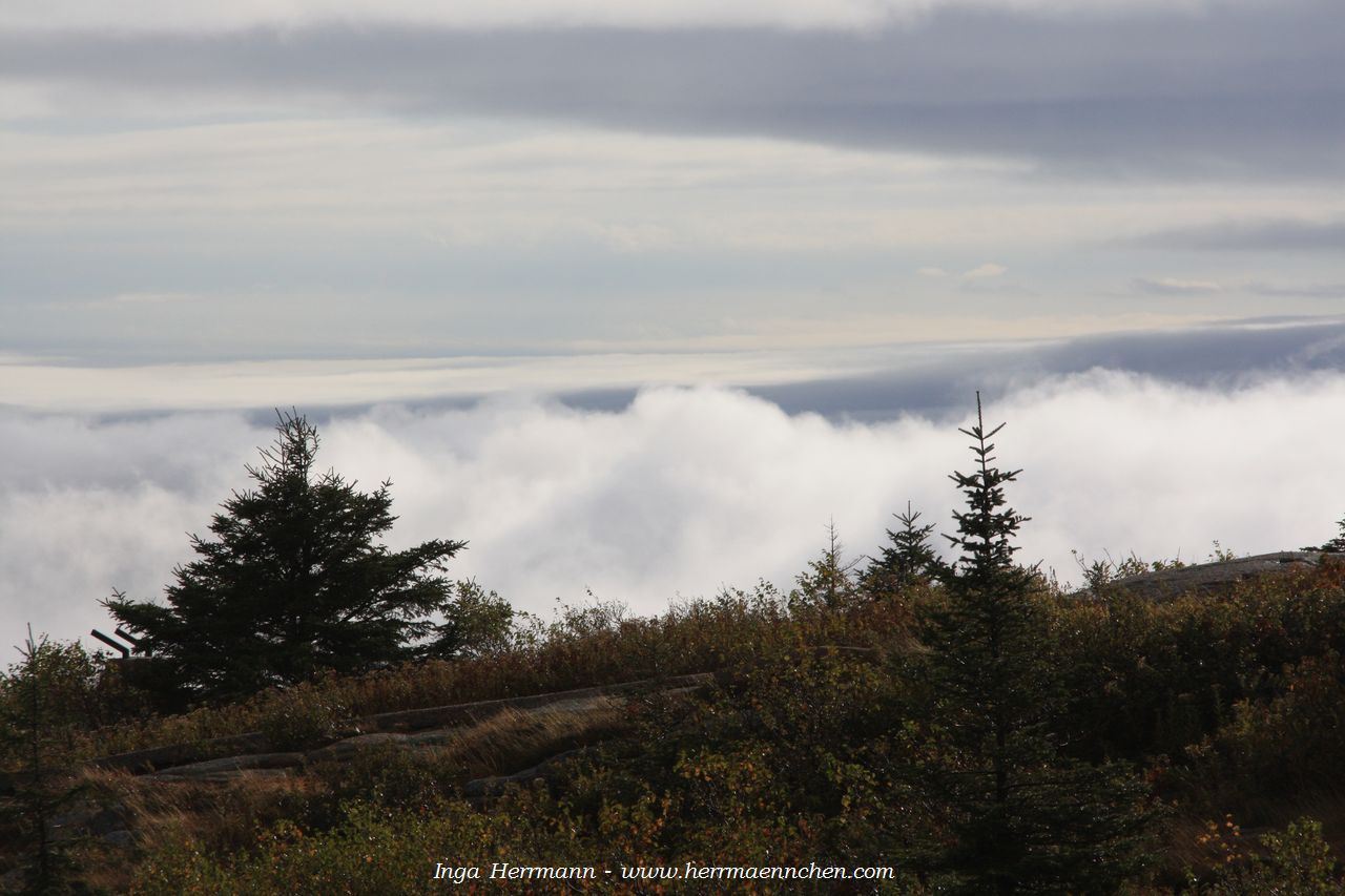 Mount Cadillac im Acadia National Park, Maine, USA