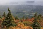 Mount Cadillac im Acadia National Park, Maine, USA