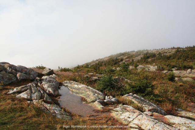 Mount Cadillac im Acadia National Park, Maine, USA