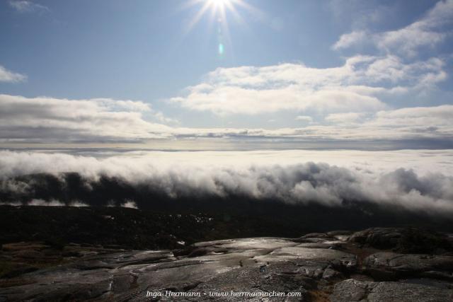 Mount Cadillac im Acadia National Park, Maine, USA