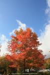 Franconia Notch, New Hampshire, USA