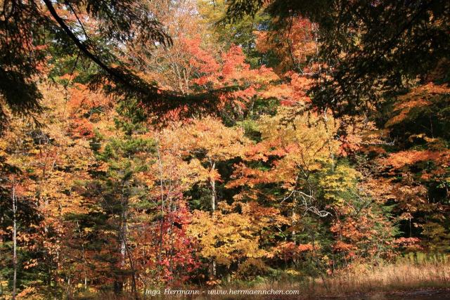 Franconia Notch, New Hampshire, USA