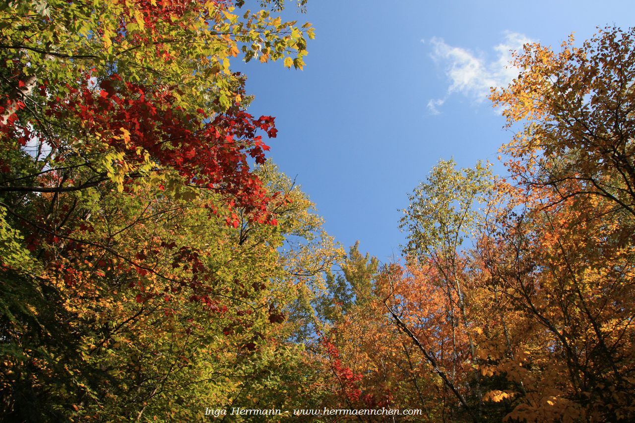 Franconia Notch, New Hampshire, USA