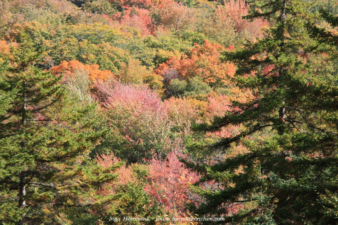 Franconia Notch, New Hampshire, USA