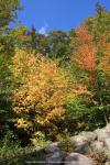 Franconia Notch, New Hampshire, USA