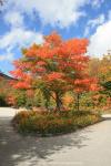 Franconia Notch, New Hampshire, USA