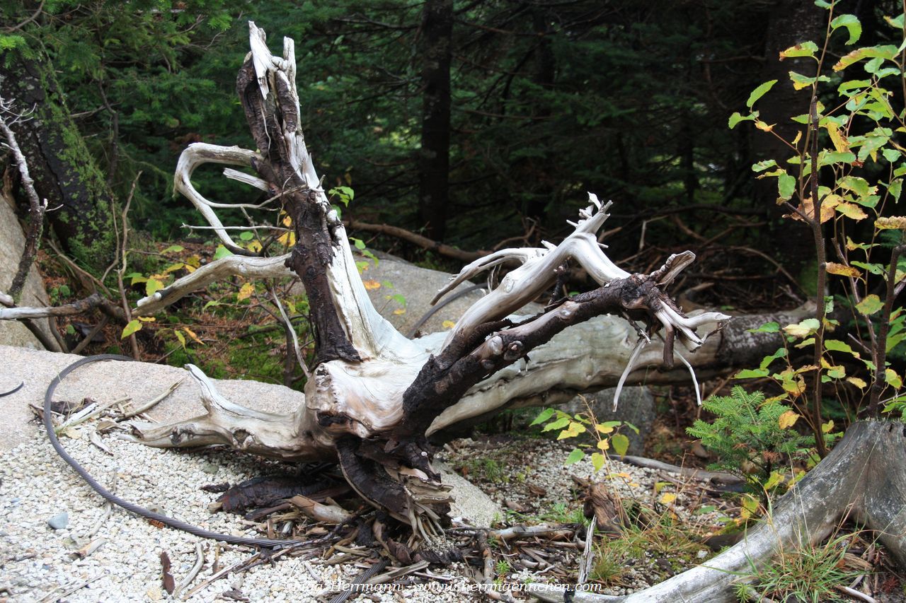 Cannon Mountain, New Hampshire, USA