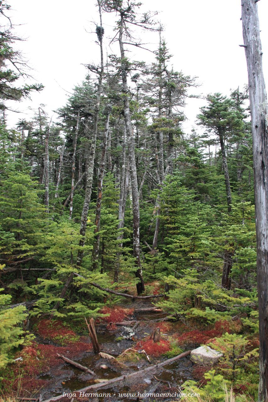 Cannon Mountain, New Hampshire, USA